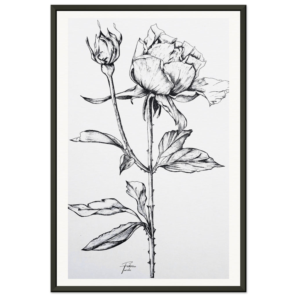 56200aa0-08bd-4065-8eb4-31bc55c73845