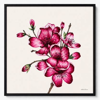 FIORI DI PESCO