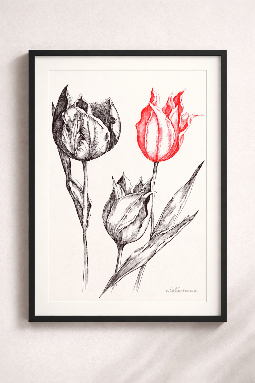 TULIPANI
